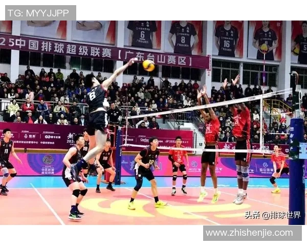 广州排球队配合默契展现实力引领联赛新风潮